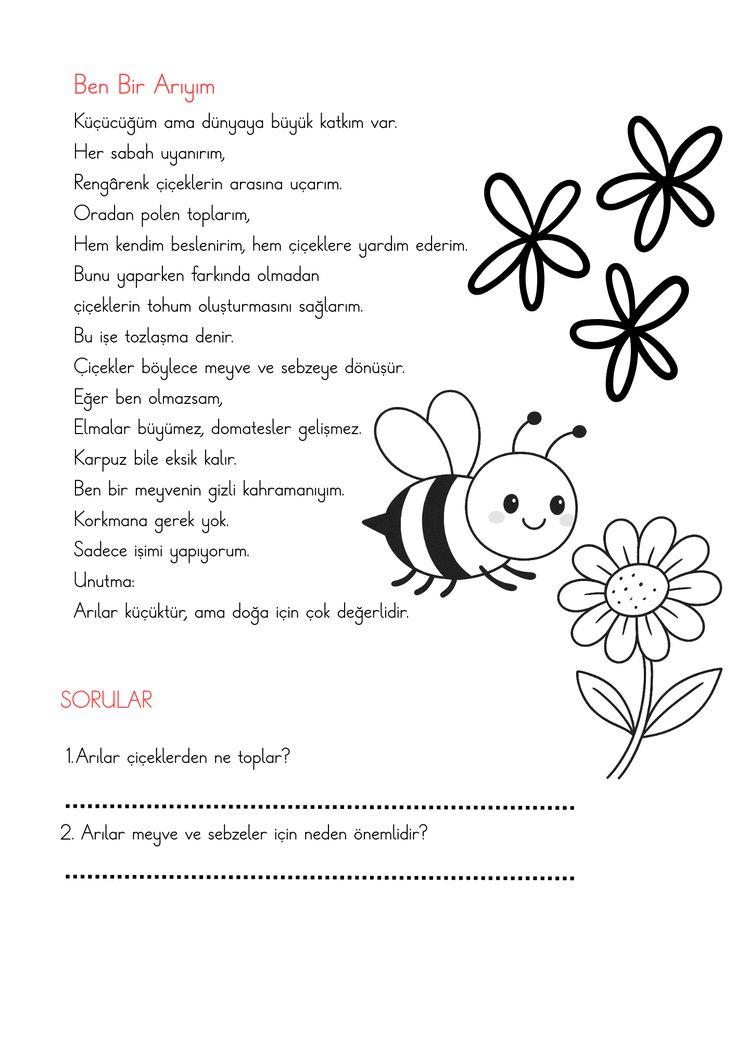 OKUMA ANLAMA METİNLERİ (3 ADET) 21  MAYIS