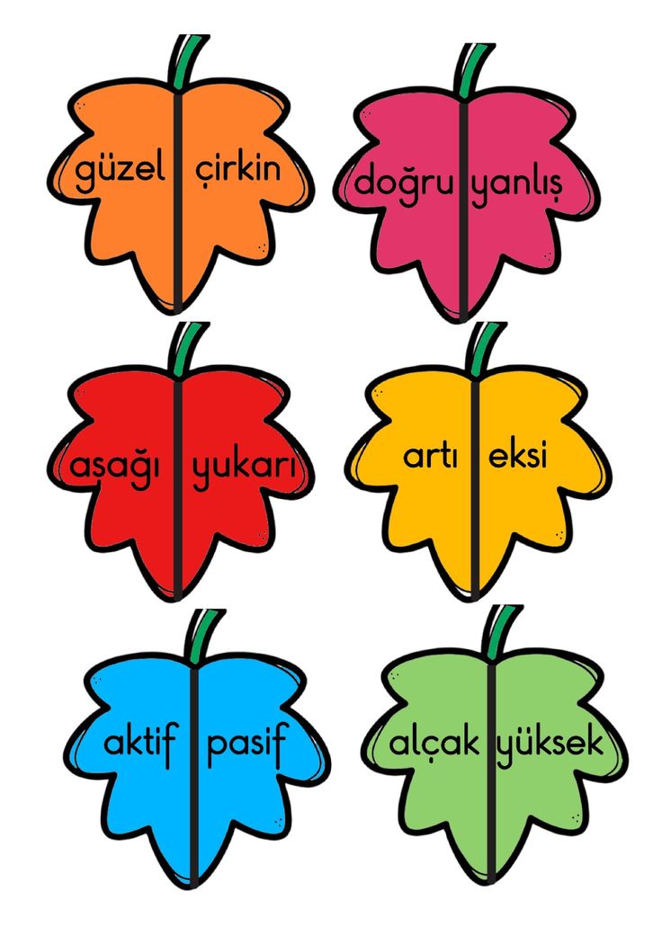 zıt anlamlı kelimeler (renkli ve renksiz)