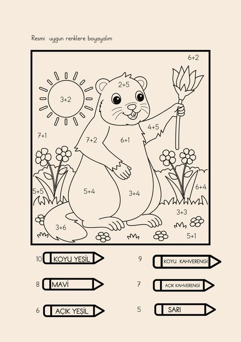 1. Sınıf Matematik: Görsel Destekli Toplama İşlemi Etkinliği