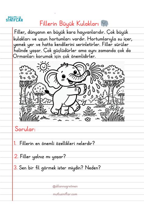 Okuma Anlama Metinleri ve Değerlendirme Soruları (4 Adet)