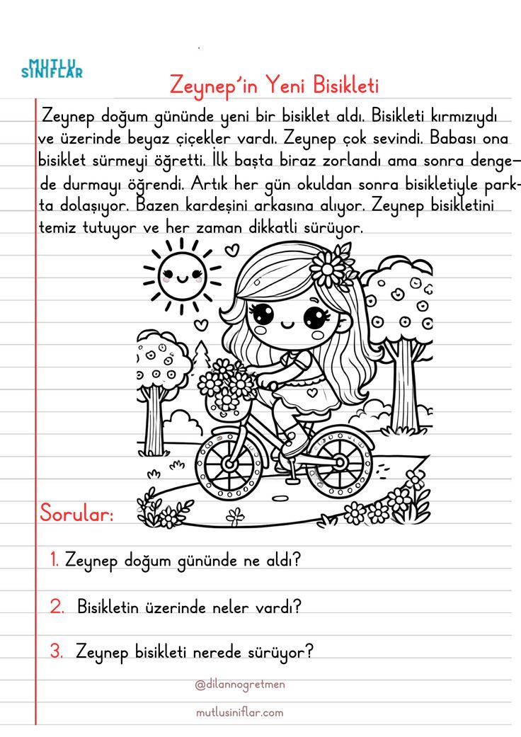 Okuma Anlama Etkinlikleri: Metin ve Test Seti (4 Adet)