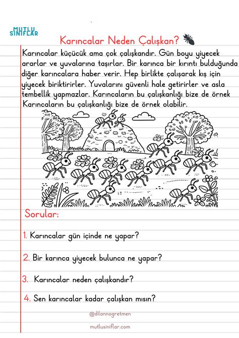 Gelişmiş Okuma Anlama ve Mantık Soruları (3 Adet)
